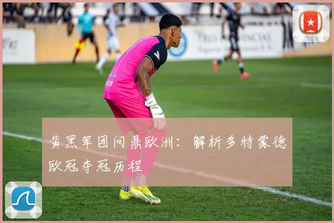 黄黑军团问鼎欧洲:解析多特蒙德欧冠夺冠历程