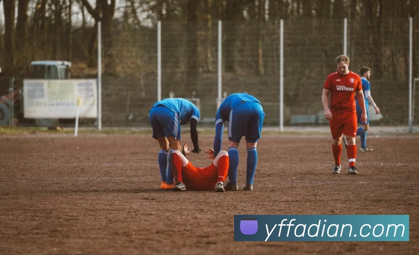 hth华体网站发展历程